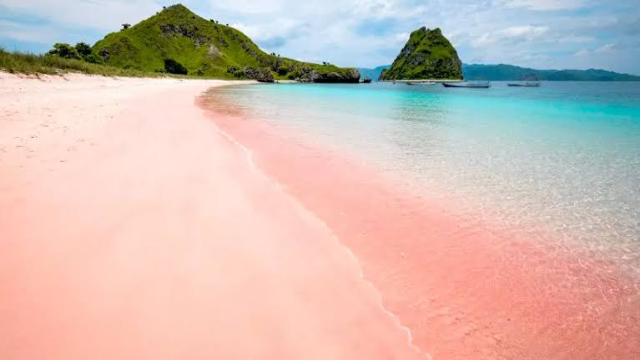 Langkah di Pasir Pink: Menguak Misteri Pantai Unik Lombok